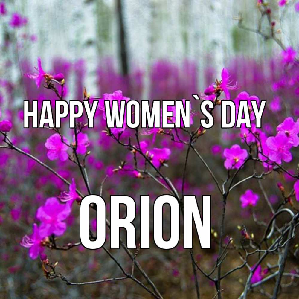 Greetings card с именем, Orion happy women`s day дикие цветы Greetings with text for free download 